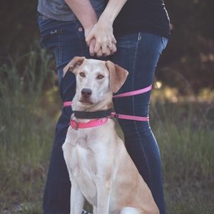 Meet your Posher, Stacy